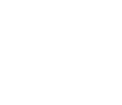 Meridional Seguros case study