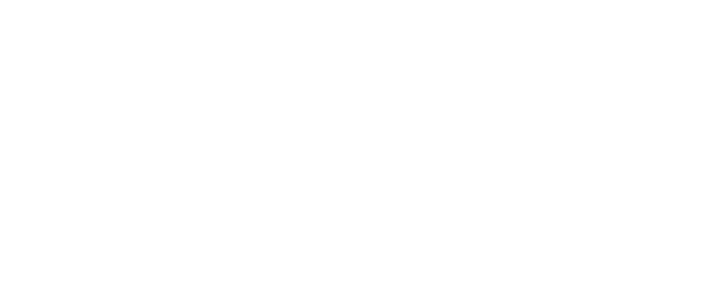 PyD logo