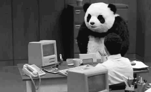 giphy (4)